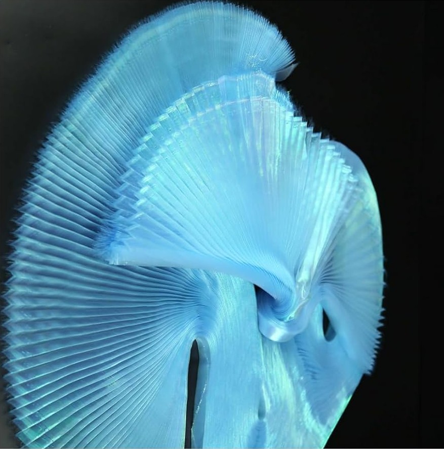 [Imagem de Organza Plissada]